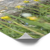 Pair of Niedlich Wolf Cubs Poster (Ecke)