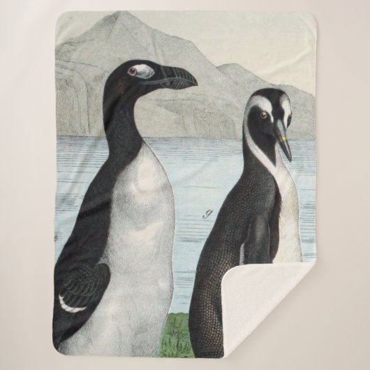 Pair of Pinguins - Badetuch Sherpadecke (Vorderseite)