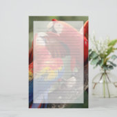 Pair of Scarlet Macaws Briefpapier (Stehend Vorderseite)