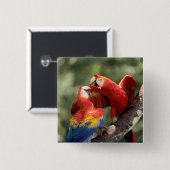 Pair of Scarlet Macaws Button (Vorne & Hinten)