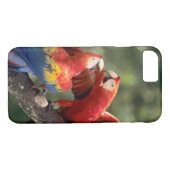 Pair of Scarlet Macaws Case-Mate iPhone Hülle (Rückseite (Horizontal))