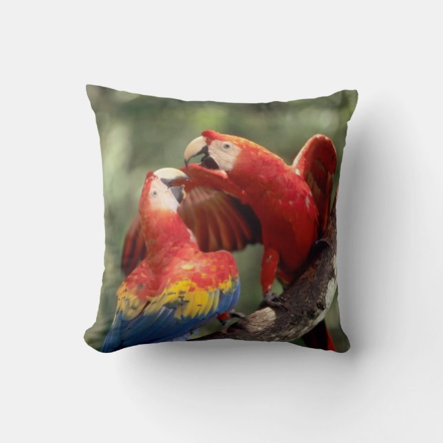 Pair of Scarlet Macaws Kissen (Vorderseite)