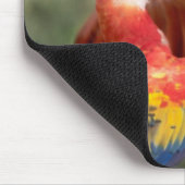 Pair of Scarlet Macaws Mousepad (Ecke)
