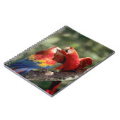 Pair of Scarlet Macaws Notizblock (Linke Seite)