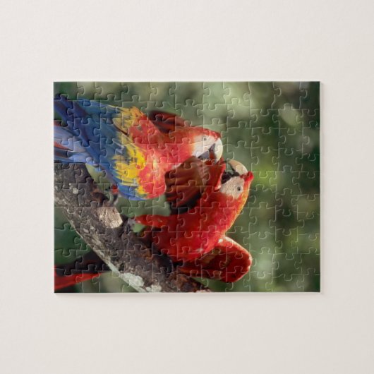 Pair of Scarlet Macaws Puzzle (Horizontal)