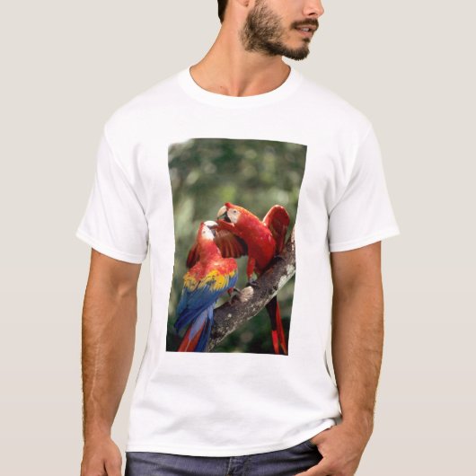 Pair of Scarlet Macaws T-Shirt (Vorderseite)
