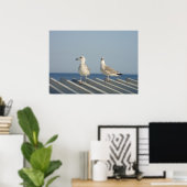 Pair of Seagulls Poster (Heimbüro)