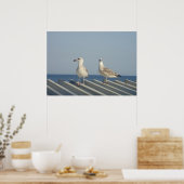 Pair of Seagulls Poster (Küche)