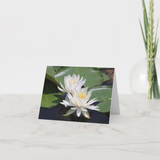 Pair of Water Lilies Note Card Dankeskarte (Vorderseite)