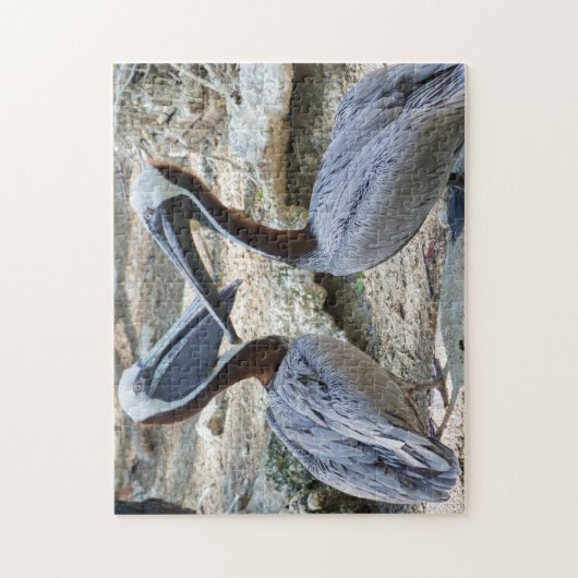 Pair Pelicans Jigsaw Puzzle (Vertikal)
