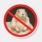 Pairiedoggin Magnet (Vorne)