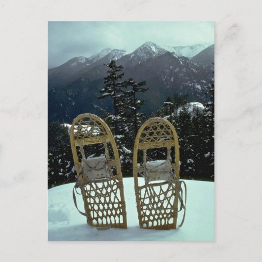 Pairing in zauberhaftem Weiß Postkarte (Vorderseite)