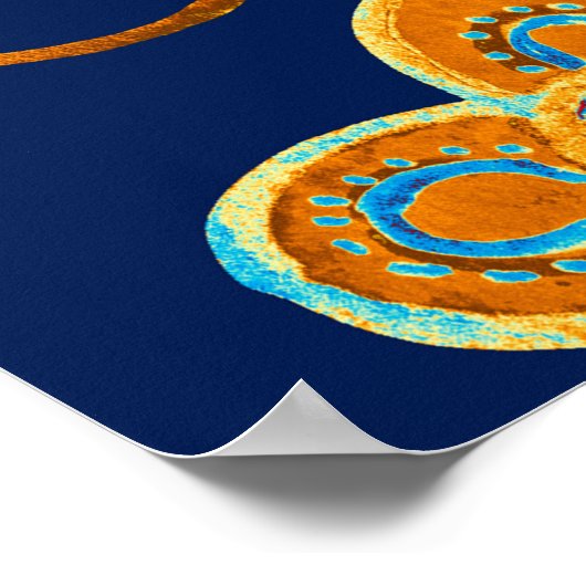 Paisley Aquarell Blumenmuster Fliesen: Blume, f Poster (Ecke)