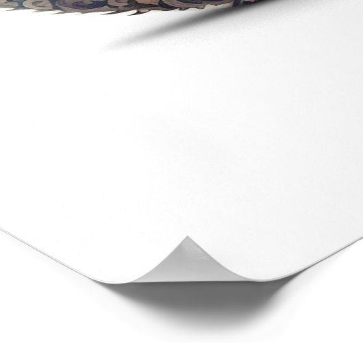 Paisley Cat Poster (Ecke)