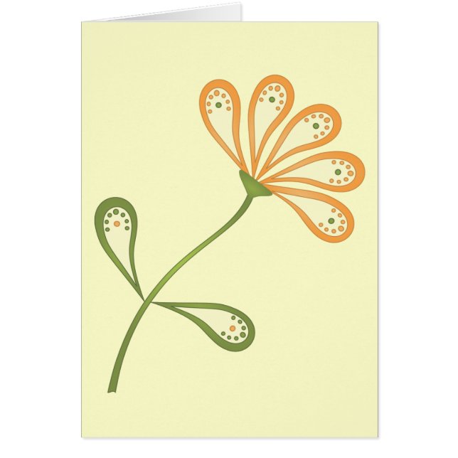 Paisley Daisy (Vorne)