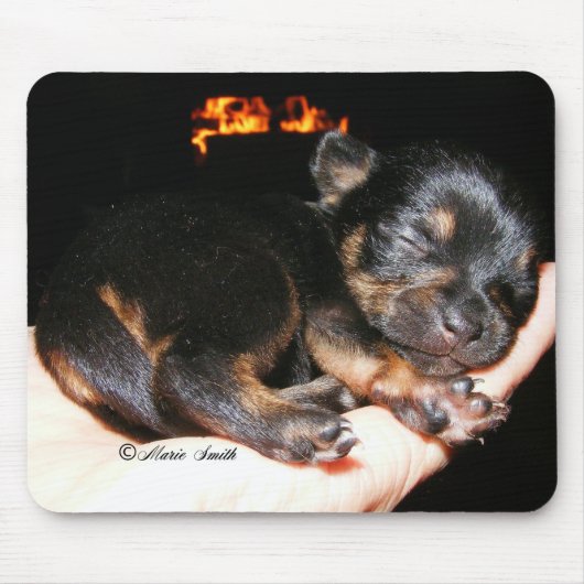Paisley Marie 1 Mousepad (Vorne)