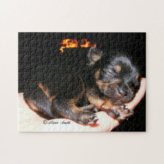 Paisley Marie 1 Puzzle (Horizontal)