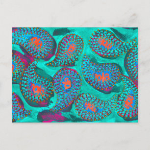 Paisley mola, mola paisley postkarte