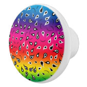 Paisley Rainbow Keramikknauf (Rechts)