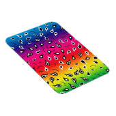 Paisley Rainbow Magnet (Rechte Seite)