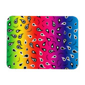 Paisley Rainbow Magnet (Horizontal)