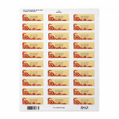 Paisleys Elegant Indian Return Address Label (Vorne)