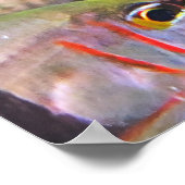 Pajama Cardinalfish Poster (Ecke)