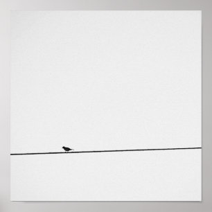 Pájaro posado en blanco y negro poster