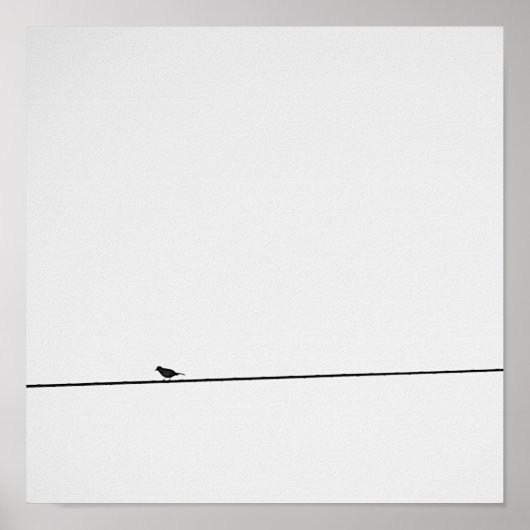 Pájaro posado en blanco y negro poster (Vorne)