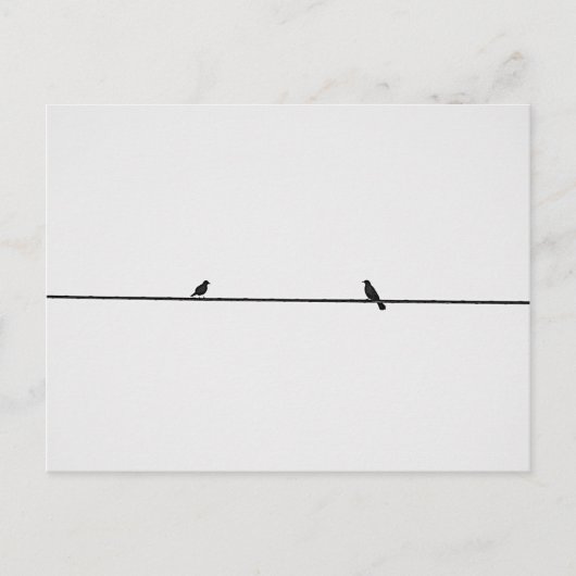 Pájaros Amigos Postkarte (Vorderseite)