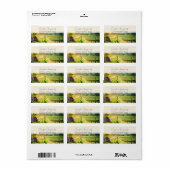 Paketlösungen für kleine Unternehmen Adressaufkleber (Vorne)