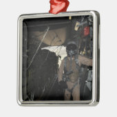 Paketpakete für die Containerzustellung verlassen Silbernes Ornament (Links)