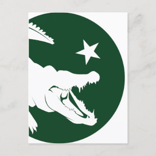 Pakistan Krokodile pakistanische Nationalflagge Postkarte