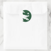 Pakistan Krokodile pakistanische Nationalflagge Runder Aufkleber (Tasche)