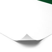 Pakistan - pakistanische Flagge Fotodruck (Ecke)