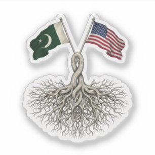 Pakistani-Amerikaner Aufkleber