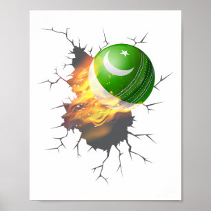 Pakistanische Cricket-Anhänger Kit Geschenk Pakist Poster
