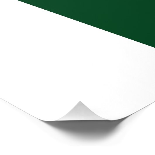 pakistanische Flagge Fotodruck (Ecke)