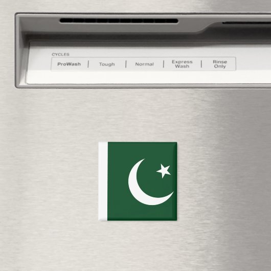 pakistanische Flagge Magnet (In Situ (Geschirrspüler))