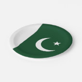 pakistanische Flagge Pappteller (Schrägansicht)