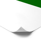 pakistanische Flagge Poster (Ecke)