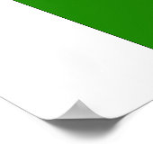 pakistanische Flagge Poster (Ecke)