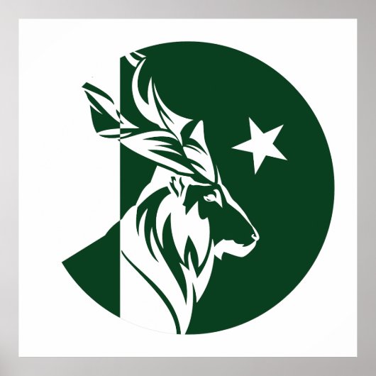 Pakistans nationale Flagge Markhor Pakistani Poster (Vorne)