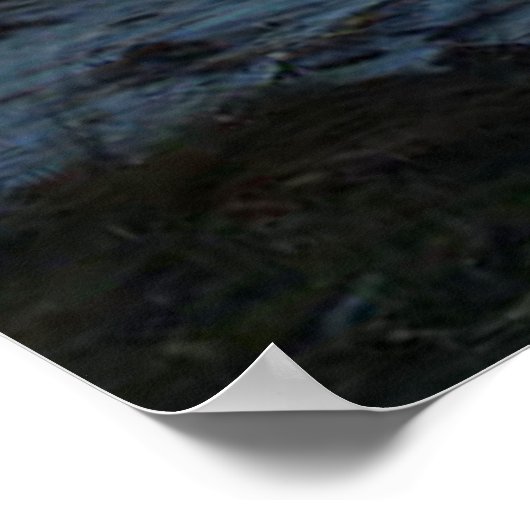 Paku vom Strand Pauanui Poster (Ecke)