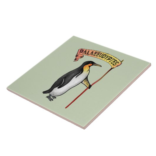 Paläeudyptes Extinct Pinguin Fliese (Seite)