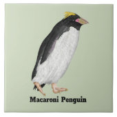 Paläeudyptes Extinct Pinguin Fliese (Vorderseite)