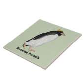 Paläeudyptes Extinct Pinguin Fliese (Seite)