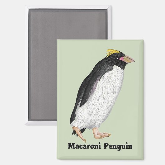 Paläeudyptes Extinct Pinguin Magnet (Vorderseite/Rückseite)