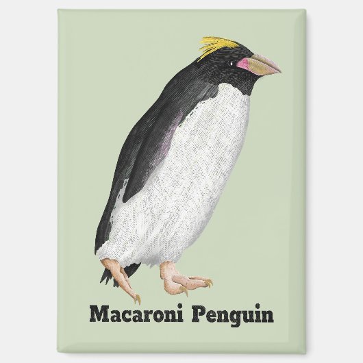 Paläeudyptes Extinct Pinguin Magnet (Vorderseite)