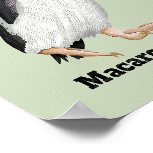 Paläeudyptes Extinct Pinguin Poster (Ecke)